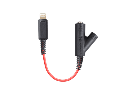 Lightning to 3.5 Jack Conversion Cable