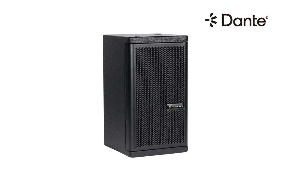 Dante Audio Networked Enabled Speaker System