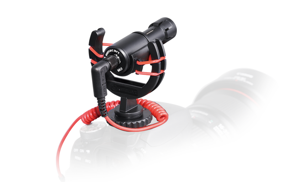 Shotgun Condenser Microphone