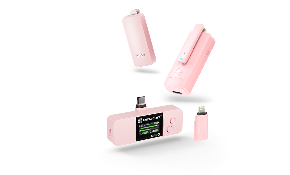 2.4G Dual Channel Wireless Microphone System